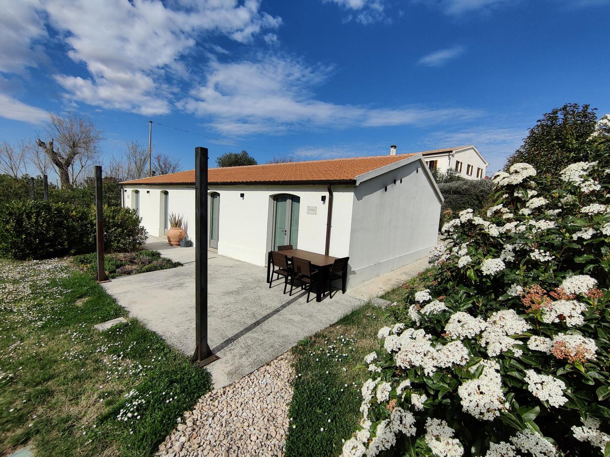 Rustico Del Bozzo Hostal Castelleone di Suasa Exterior foto